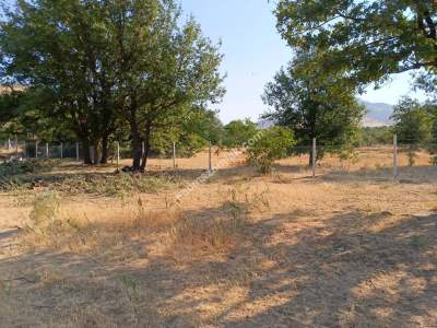 Kayseri Develi Zile Mah Satlık Bag Arsa 9