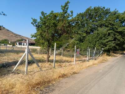 Kayseri Develi Zile Mah Satlık Bag Arsa 3