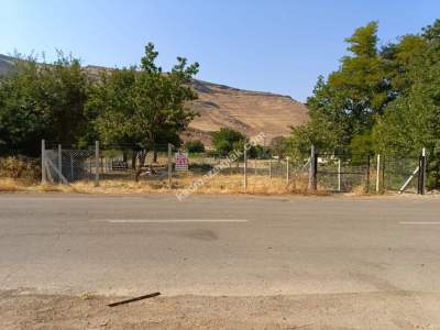 Kayseri Develi Zile Mah Satlık Bag Arsa 7