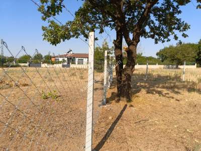 Kayseri Develi Zile Mah Satlık Bag Arsa 10