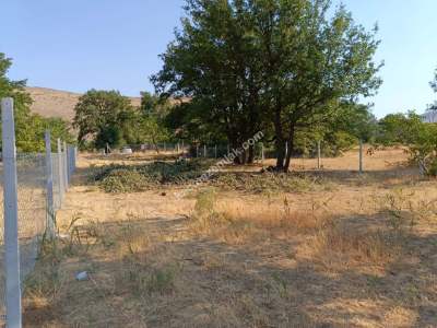 Kayseri Develi Zile Mah Satlık Bag Arsa 2