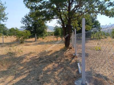 Kayseri Develi Zile Mah Satlık Bag Arsa 12