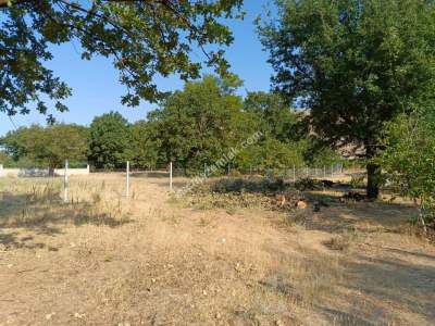 Kayseri Develi Zile Mah Satlık Bag Arsa 13