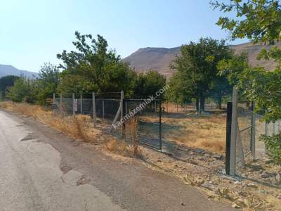 Kayseri Develi Zile Mah Satlık Bag Arsa 1