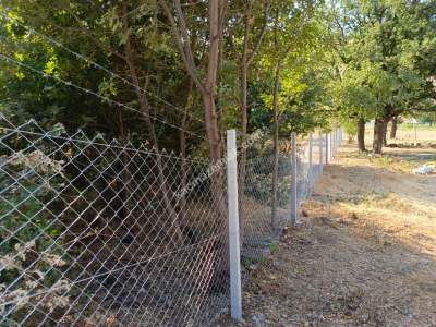 Kayseri Develi Zile Mah Satlık Bag Arsa 5