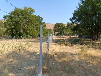 Kayseri Develi Zile Mah Satlık Bag Arsa 11