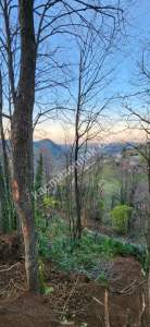 Başiskele Yuvacıkta Satılık % 5 İmarlı Arazi 1