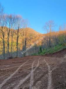 Başiskele Yuvacıkta Satılık % 5 İmarlı Arazi 4