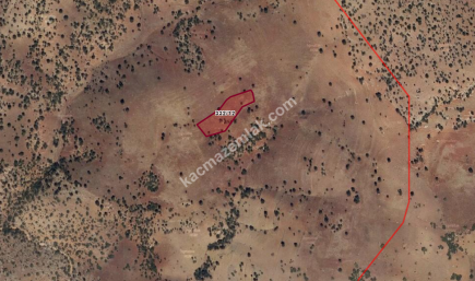 Konya Güneysınır Habiller 3856 M Bağ Satılık 1