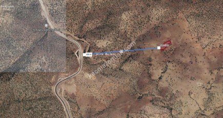 Konya Güneysınır Habiller 3856 M Bağ Satılık 4