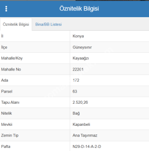 Konya Güneysınır Kayaağzı 2.520 M Bağ Satılık 2