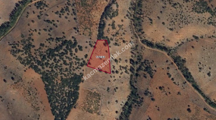 Konya Güneysınır Kayaağzı 2.520 M Bağ Satılık 1