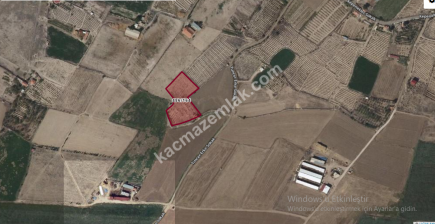 Niğde Bor Kemerhisar Tepe 5230M2 Merkezde Satılık Bağ 2