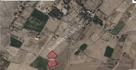 Niğde Bor Kemerhisar Tepe 5230M2 Merkezde Satılık Bağ 3