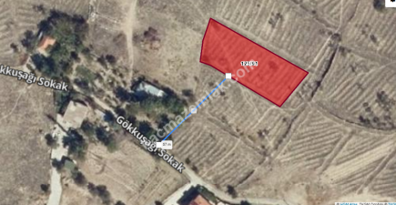 Niğde Merkez Kumluca Mah Hastaneye 500M Satılık 1557M2 5