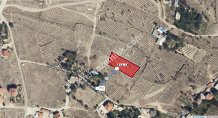 Niğde Merkez Kumluca Mah Hastaneye 500M Satılık 1557M2 8