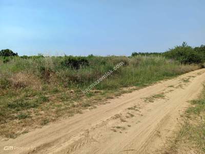 Tekirdağ Şarköy İğdebağları Mahallesi Satılık Üzüm Bağı 3