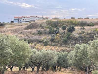 Tekirdağ Şarköy Kirazlı Mahallesi Satılık İmara Yakın 10