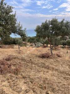 Tekirdağ Şarköy Kirazlı Mahallesi Satılık İmara Yakın 8