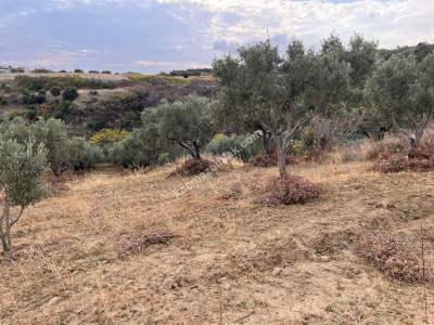 Tekirdağ Şarköy Kirazlı Mahallesi Satılık İmara Yakın 11