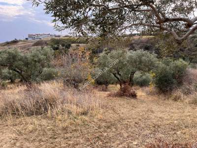 Tekirdağ Şarköy Kirazlı Mahallesi Satılık İmara Yakın 14