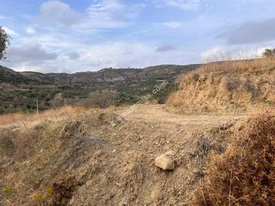 Tekirdağ Şarköy Kirazlı Mahallesi Satılık İmara Yakın 13