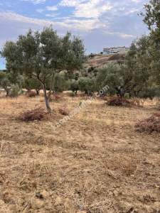 Tekirdağ Şarköy Kirazlı Mahallesi Satılık İmara Yakın 3