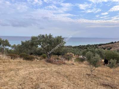 Tekirdağ Şarköy Kirazlı Mahallesi Satılık İmara Yakın 2
