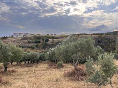 Tekirdağ Şarköy Kirazlı Mahallesi Satılık İmara Yakın 7