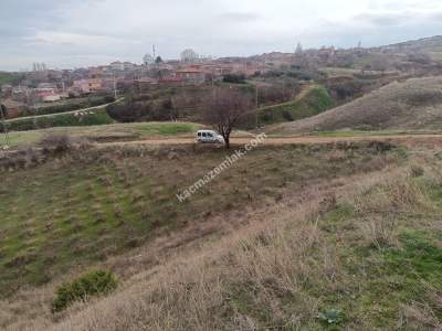 Tekirdağ Şarköy Tepeköy Mah. Satılık Üzüm Bağı 3