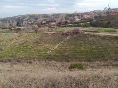 Tekirdağ Şarköy Tepeköy Mah. Satılık Üzüm Bağı 1