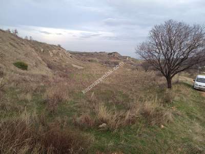 Tekirdağ Şarköy Tepeköy Mah. Satılık Üzüm Bağı 4