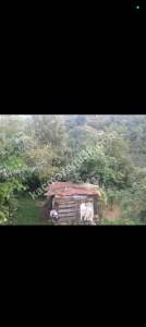 Trabzon Yomra Sancak Mah. Yalı Mevkiinde 510 M² Arsa 6