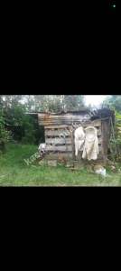 Trabzon Yomra Sancak Mah. Yalı Mevkiinde 510 M² Arsa 4