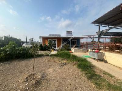 Adana Karaisalı Salbaş Mevkiinde Hobi Bahçesi 2