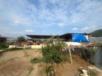 Adana Karaisalı Salbaş Mevkiinde Hobi Bahçesi 3