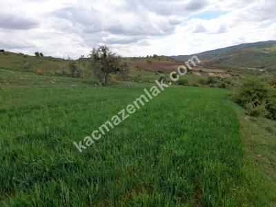 Pursaklar Sirkeli'de 500 M2 Satılık Hobi Bahçeleri 3