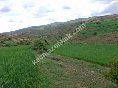 Pursaklar Sirkeli'de 500 M2 Satılık Hobi Bahçeleri 2