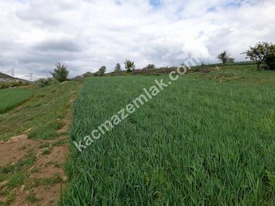 Pursaklar Sirkeli'de 500 M2 Satılık Hobi Bahçeleri 9