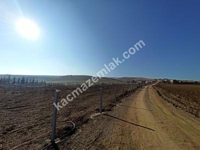 Pursaklar Sirekli'de Satılık Hobi Bahçeleri 13