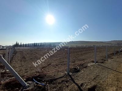 Pursaklar Sirekli'de Satılık Hobi Bahçeleri 11