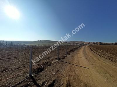 Pursaklar Sirekli'de Satılık Hobi Bahçeleri 12