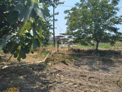 Kaçmaz Emlak Nazilliden Sultanhisar Kavaklıda Fırsat Ho 5