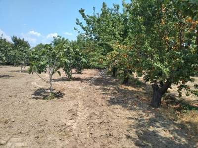 Kaçmaz Emlak Nazilliden Sultanhisar Kavaklıda Fırsat Ho 2