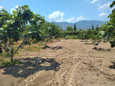 Kaçmaz Emlak Nazilliden Sultanhisar Kavaklıda Fırsat Ho 7