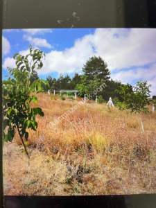 Bilecik Yenipazarda Satılık Bahçe 10