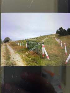 Bilecik Yenipazarda Satılık Bahçe 6