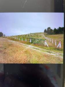 Bilecik Yenipazarda Satılık Bahçe 8