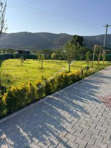 Bursa Gürsu Kazıklı Da Satılık 904 M2 Tarla Arazı Bahce 5