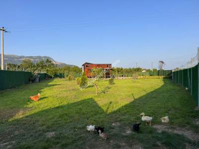 Bursa Gürsu Kazıklı Da Satılık 904 M2 Tarla Arazı Bahce 3